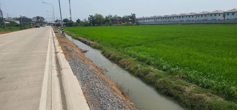 ขายที่ดิน เนื้อที่ 2 ไร่ 0 งาน 0 ตร.ว. ใกล้การไฟฟ้าส่วนภูมิภาคสาขาลำลูกกา, Pathum Thani, Bung Kham Proi, Lam Luk Ka, Pathum Thani, , 3,200 sqm, Land For Sale, by อนันต์ อัมรินทร์, 500470768 - DDproperty.com