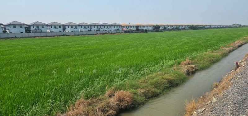 ขายที่ดิน เนื้อที่ 2 ไร่ 0 งาน 0 ตร.ว. ใกล้การไฟฟ้าส่วนภูมิภาคสาขาลำลูกกา, Pathum Thani, Bung Kham Proi, Lam Luk Ka, Pathum Thani, , 3,200 sqm, Land For Sale, by อนันต์ อัมรินทร์, 500470768 - DDproperty.com