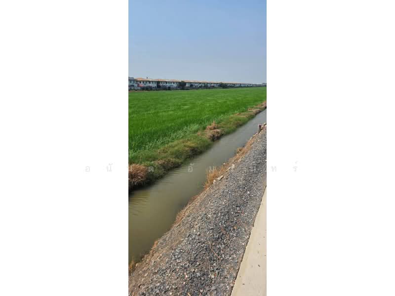 ขายที่ดิน เนื้อที่ 2 ไร่ 0 งาน 0 ตร.ว. ใกล้การไฟฟ้าส่วนภูมิภาคสาขาลำลูกกา, Pathum Thani, Bung Kham Proi, Lam Luk Ka, Pathum Thani, , 3,200 sqm, Land For Sale, by อนันต์ อัมรินทร์, 500470768 - DDproperty.com