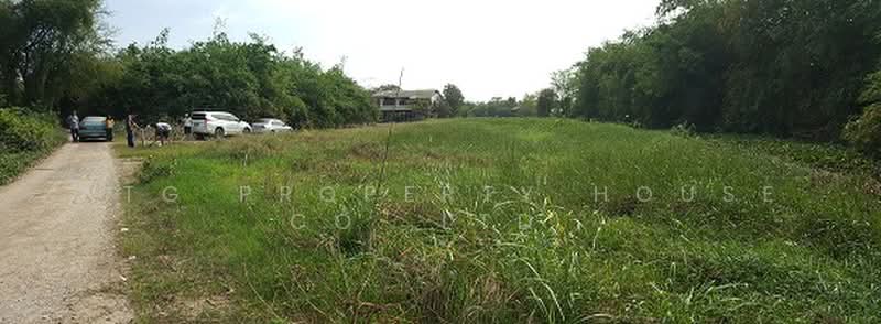 ที่ดินริมน้ำ บางไทร อยุธยา, Phra Nakhon Si Ayutthaya, Bang Zai, Bang-Sai, Phra Nakhon Si Ayutthaya, , 1,588 sqm, Land For Sale, by NTG Property House Co.,Ltd., 500471065 - DDproperty.com