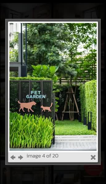 Chewathai Hallmark Ladprao - Chokchai 4 (Phase 2), Bangkok, Sangkhom Songkhro Road, Saphan Song, Wang Thonglang, Bangkok, 2 Bedrooms, 40 sqm, Condo For Rent, by Komkrit Arunvessased, 500471144 - DDproperty.com