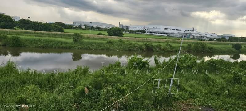ให้เช่า โกดัง ลาดกระบัง (Ladkrabang) 335 ตร.ม, Bangkok, Lat Krabang, Bangkok, , 335 sqm, Warehouse/Factory For Rent, by Tida phanthonglarptawee, 500471166 - DDproperty.com