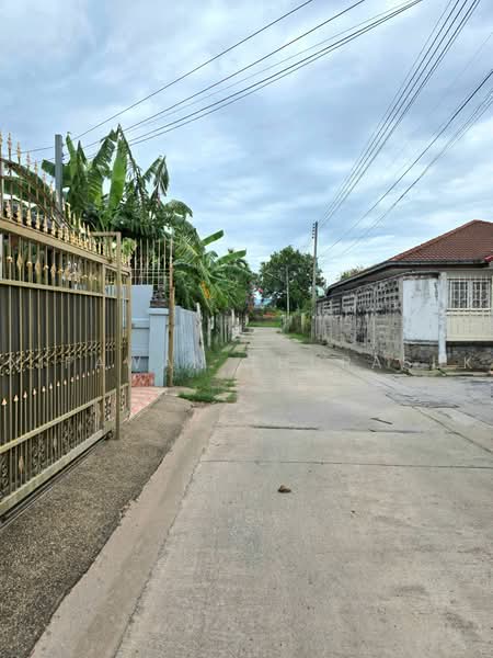 บ้านเดี่ยว อ.เมือง จ.นครราชสีมา, Nakhon Ratchasima, Nai Muang, Muang Nakhon Ratchasima, Nakhon Ratchasima, 4 Bedrooms, 300 sqm, Single Detached House For Sale, by Nipawan Thurasuk, 500471281 - DDproperty.com