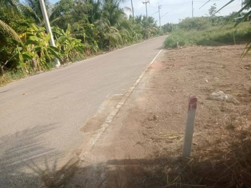 ที่ดินถมแล้ว 136 ตรว.เหมาะปลูกบ้าน ติดถนน ตำบลอำแพง อำเภอบ้านแพ้ว, สมุทรสาคร, , อำแพง, บ้านแพ้ว, สมุทรสาคร, 544 ตร.ม., ที่ดิน ขาย, โดย Connex Property, 500471435 - DDproperty.com