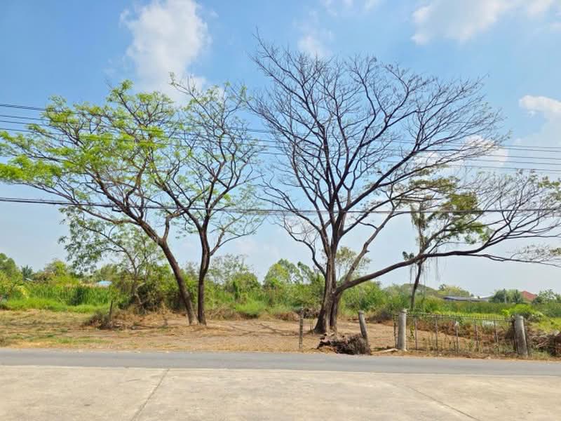 ไม่พบโครงการ, กรุงเทพ, ประชาสำราญ เลียบคลองสิบสามตะวันตก, หนองจอก, หนองจอก, กรุงเทพ, 4,172 ตร.ม., ที่ดิน ให้เช่า, โดย ณัฐพงศ์ สุนทรอรุณ, 500471457 - DDproperty.com