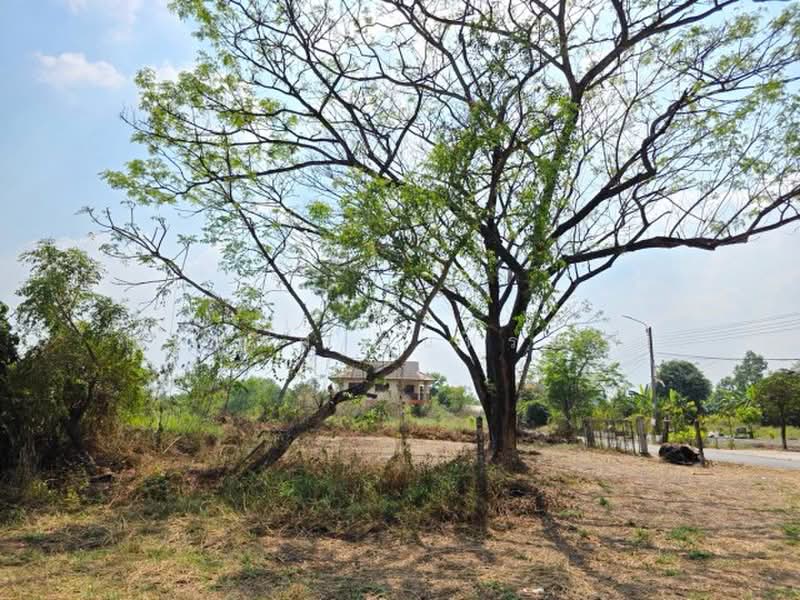 ไม่พบโครงการ, Bangkok, ประชาสำราญ เลียบคลองสิบสามตะวันตก, Nong Chok, Nong Chok, Bangkok, , 4,172 sqm, Land For Rent, by ณัฐพงศ์ สุนทรอรุณ, 500471457 - DDproperty.com