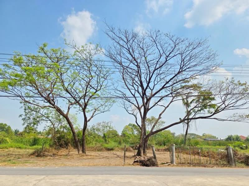 ไม่พบโครงการ, Bangkok, ประชาสำราญ เลียบคลองสิบสามตะวันตก, Nong Chok, Nong Chok, Bangkok, , 4,172 sqm, Land For Rent, by ณัฐพงศ์ สุนทรอรุณ, 500471457 - DDproperty.com