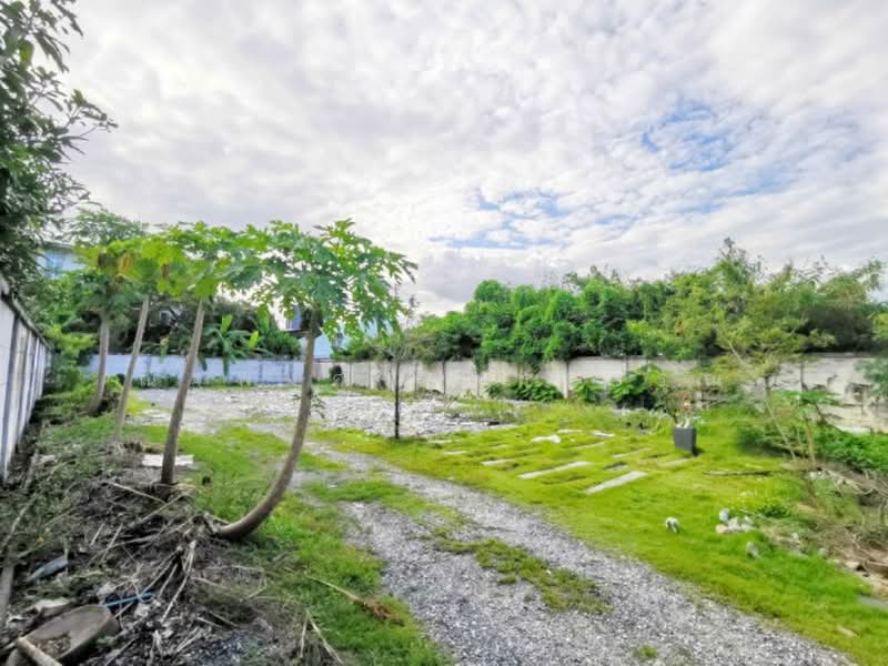 ไม่พบโครงการ, Bangkok, ลาดพร้าว 9-19, Jom Phon, Chatuchak, Bangkok, , 8,016 sqm, Land For Rent, by ณัฐพงศ์ สุนทรอรุณ, 500471461 - DDproperty.com