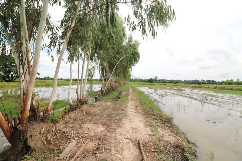 เปิดขายแล้ว!ที่ดิน 5 ไร่+ บ้านตาด อุดรธานี, อุดรธานี, บ้านตาด, เมืองอุดรธานี, อุดรธานี, 9,304 ตร.ม., ที่ดิน ขาย, โดย วีรภัทรา ดาร์เปอร์, 500471471 - DDproperty.com