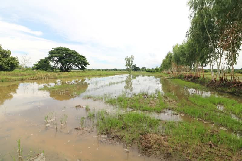 5+ Rai Of Opportunity Land For Sale, Ban Tat, Udon Thani, Ban Tat, Muang Udon Thani, Udon Thani, , 9,304 sqm, Land For Sale, by วีรภัทรา ดาร์เปอร์, 500471471 - DDproperty.com