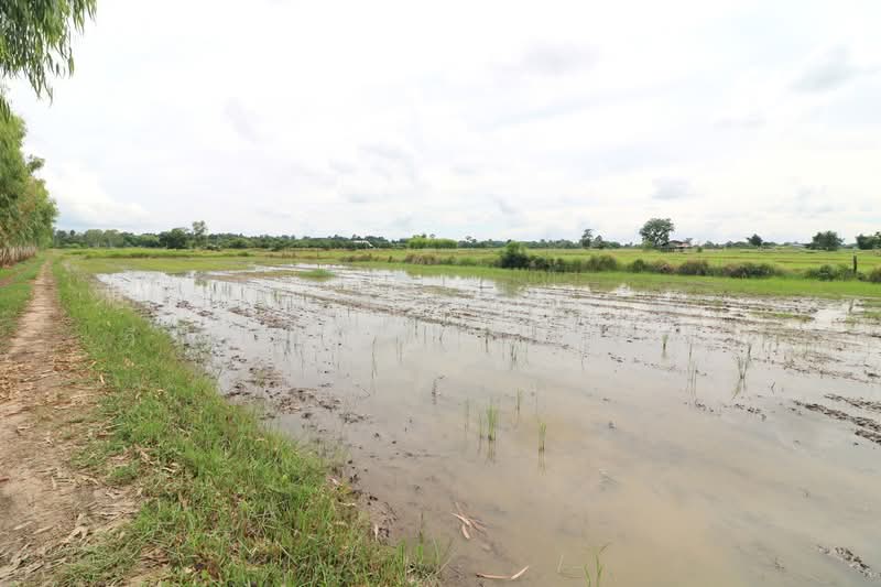 5+ Rai Of Opportunity Land For Sale, Ban Tat, Udon Thani, Ban Tat, Muang Udon Thani, Udon Thani, , 9,304 sqm, Land For Sale, by วีรภัทรา ดาร์เปอร์, 500471471 - DDproperty.com