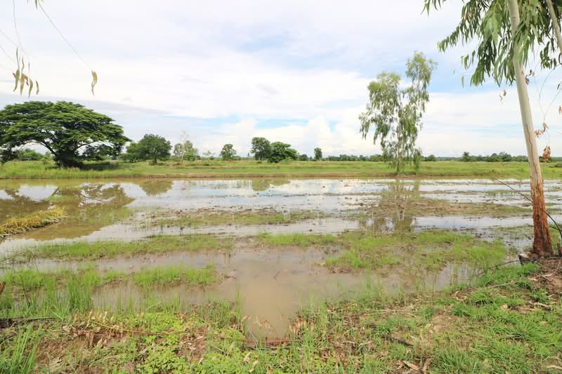 5+ Rai Of Opportunity Land For Sale, Ban Tat, Udon Thani, Ban Tat, Muang Udon Thani, Udon Thani, , 9,304 sqm, Land For Sale, by วีรภัทรา ดาร์เปอร์, 500471471 - DDproperty.com