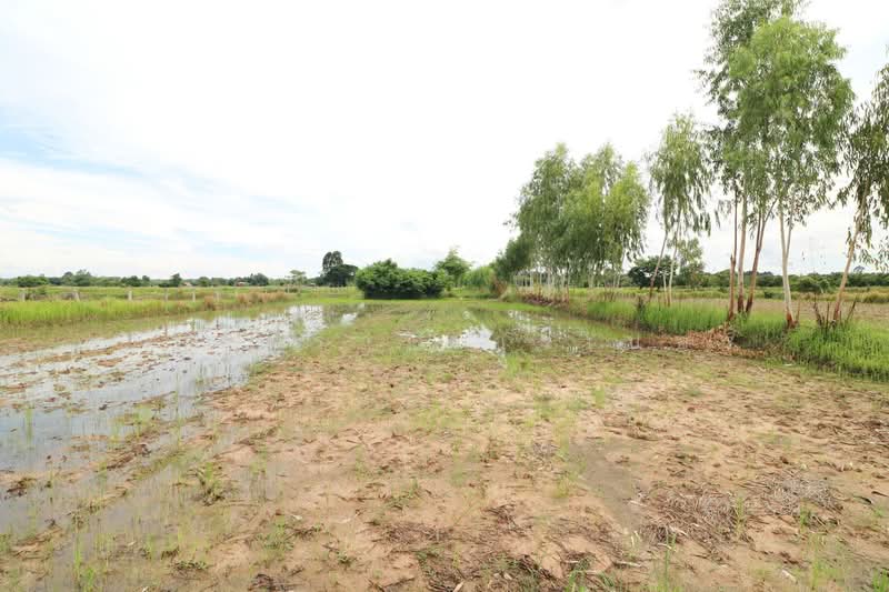 5+ Rai Of Opportunity Land For Sale, Ban Tat, Udon Thani, Ban Tat, Muang Udon Thani, Udon Thani, , 9,304 sqm, Land For Sale, by วีรภัทรา ดาร์เปอร์, 500471471 - DDproperty.com
