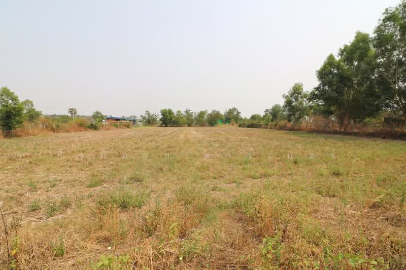 3 Rai Land for Sale in Sam Phrao, Udon Thani, Sam Phrao, Muang Udon Thani, Udon Thani, , 4,800 sqm, Land For Sale, by วีรภัทรา ดาร์เปอร์, 500471472 - DDproperty.com