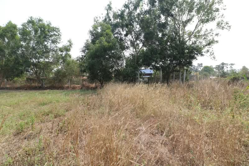 3 Rai Land for Sale in Sam Phrao, Udon Thani, Sam Phrao, Muang Udon Thani, Udon Thani, , 4,800 sqm, Land For Sale, by วีรภัทรา ดาร์เปอร์, 500471472 - DDproperty.com