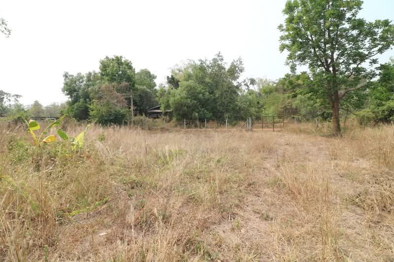 3 Rai Land for Sale in Sam Phrao, Udon Thani, Sam Phrao, Muang Udon Thani, Udon Thani, , 4,800 sqm, Land For Sale, by วีรภัทรา ดาร์เปอร์, 500471472 - DDproperty.com