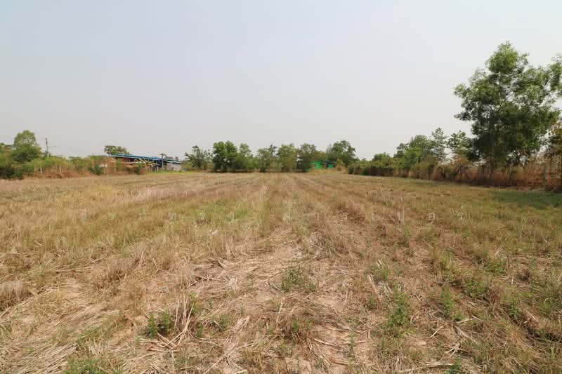 3 Rai Land for Sale in Sam Phrao, Udon Thani, Sam Phrao, Muang Udon Thani, Udon Thani, , 4,800 sqm, Land For Sale, by วีรภัทรา ดาร์เปอร์, 500471472 - DDproperty.com