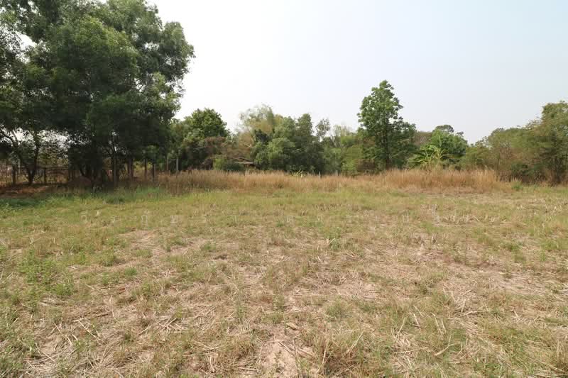 3 Rai Land for Sale in Sam Phrao, Udon Thani, Sam Phrao, Muang Udon Thani, Udon Thani, , 4,800 sqm, Land For Sale, by วีรภัทรา ดาร์เปอร์, 500471472 - DDproperty.com