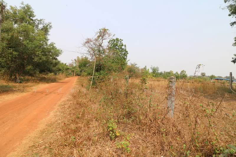 3 Rai Land for Sale in Sam Phrao, Udon Thani, Sam Phrao, Muang Udon Thani, Udon Thani, , 4,800 sqm, Land For Sale, by วีรภัทรา ดาร์เปอร์, 500471472 - DDproperty.com