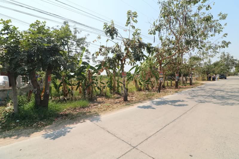 7 Plots Of Land For Sale in Tha Phra, Khon Kaen, Tha Phra, Muang Khon Kaen, Khon Kaen, , 1,108 sqm, Land For Sale, by วีรภัทรา ดาร์เปอร์, 500471474 - DDproperty.com