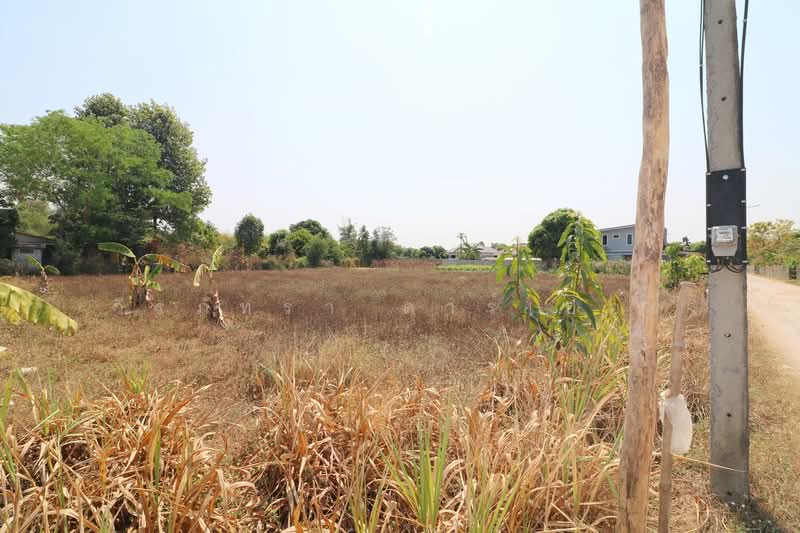 ขายที่ดิน 7แปลง ท่าพระ ขอนแก่น, ขอนแก่น, ท่าพระ, เมืองขอนแก่น, ขอนแก่น, 1,108 ตร.ม., ที่ดิน ขาย, โดย วีรภัทรา ดาร์เปอร์, 500471474 - DDproperty.com