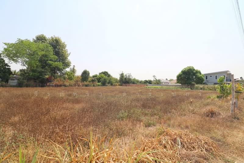 7 Plots Of Land For Sale in Tha Phra, Khon Kaen, Tha Phra, Muang Khon Kaen, Khon Kaen, , 1,108 sqm, Land For Sale, by วีรภัทรา ดาร์เปอร์, 500471474 - DDproperty.com