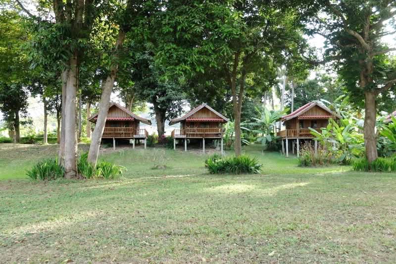 11 Bungalows For Sale, 460m Of Mekong River Chiang Khan, Loei, Bu Hom, Chiang Khan, Loei, , 28,424 sqm, Land For Sale, by วีรภัทรา ดาร์เปอร์, 500471475 - DDproperty.com