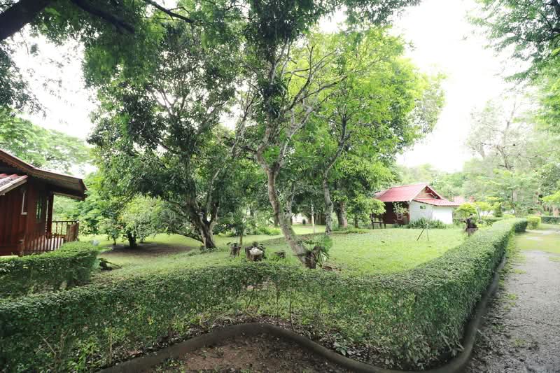 11 Bungalows For Sale, 460m Of Mekong River Chiang Khan, Loei, Bu Hom, Chiang Khan, Loei, , 28,424 sqm, Land For Sale, by วีรภัทรา ดาร์เปอร์, 500471475 - DDproperty.com