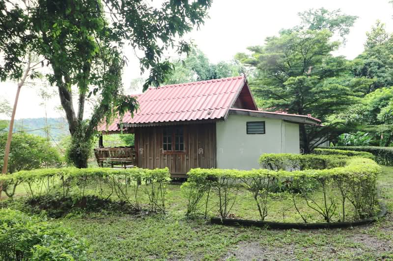 11 Bungalows For Sale, 460m Of Mekong River Chiang Khan, Loei, Bu Hom, Chiang Khan, Loei, , 28,424 sqm, Land For Sale, by วีรภัทรา ดาร์เปอร์, 500471475 - DDproperty.com