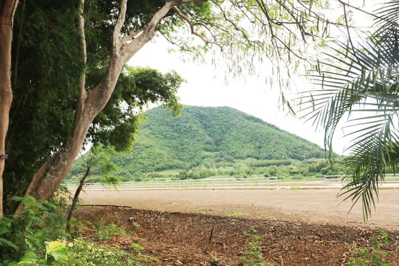 11 Bungalows For Sale, 460m Of Mekong River Chiang Khan, Loei, Bu Hom, Chiang Khan, Loei, , 28,424 sqm, Land For Sale, by วีรภัทรา ดาร์เปอร์, 500471475 - DDproperty.com