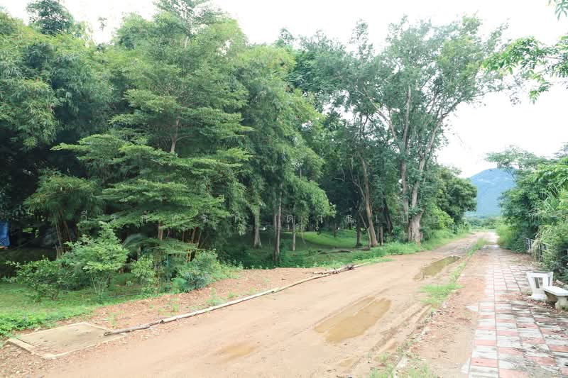 11 Bungalows For Sale, 460m Of Mekong River Chiang Khan, Loei, Bu Hom, Chiang Khan, Loei, , 28,424 sqm, Land For Sale, by วีรภัทรา ดาร์เปอร์, 500471475 - DDproperty.com