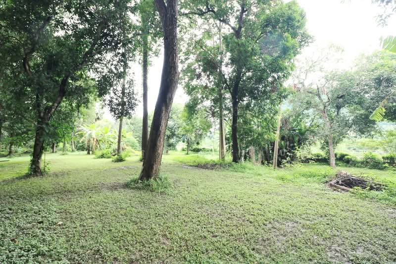 11 Bungalows For Sale, 460m Of Mekong River Chiang Khan, Loei, Bu Hom, Chiang Khan, Loei, , 28,424 sqm, Land For Sale, by วีรภัทรา ดาร์เปอร์, 500471475 - DDproperty.com