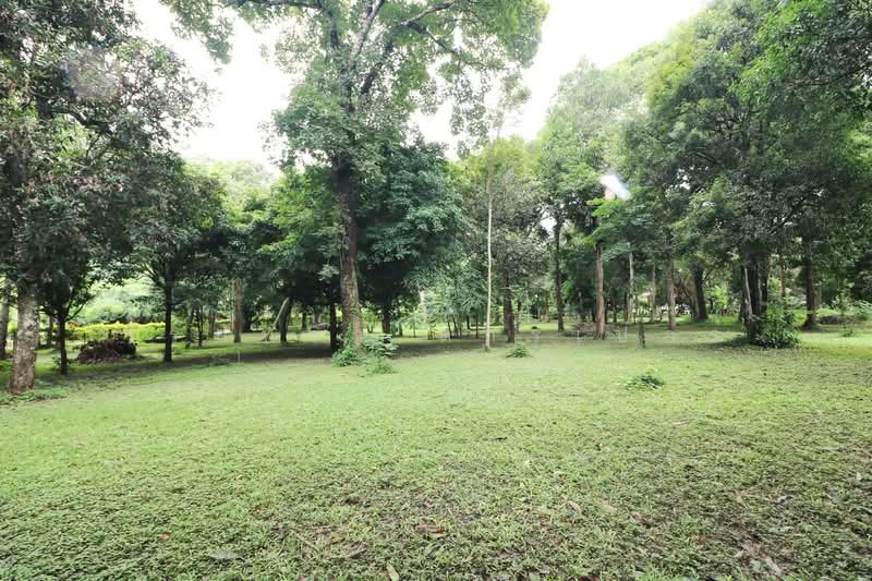 11 Bungalows For Sale, 460m Of Mekong River Chiang Khan, Loei, Bu Hom, Chiang Khan, Loei, , 28,424 sqm, Land For Sale, by วีรภัทรา ดาร์เปอร์, 500471475 - DDproperty.com