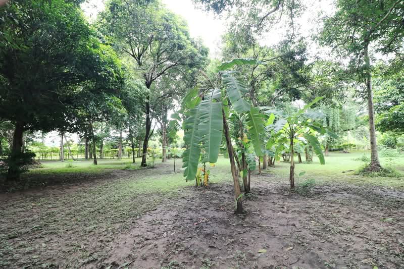 11 Bungalows For Sale, 460m Of Mekong River Chiang Khan, Loei, Bu Hom, Chiang Khan, Loei, , 28,424 sqm, Land For Sale, by วีรภัทรา ดาร์เปอร์, 500471475 - DDproperty.com