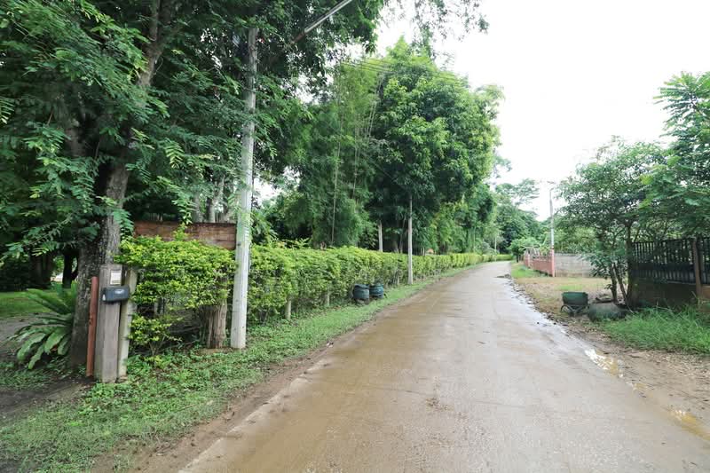 11 Bungalows For Sale, 460m Of Mekong River Chiang Khan, Loei, Bu Hom, Chiang Khan, Loei, , 28,424 sqm, Land For Sale, by วีรภัทรา ดาร์เปอร์, 500471475 - DDproperty.com