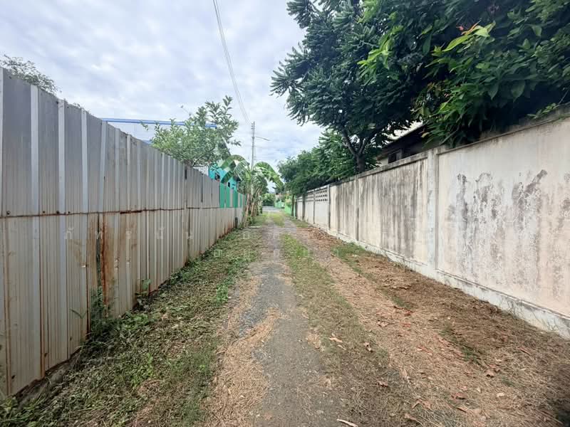 ซอยร่วมสุข 1, Pathum Thani, Ban Mai, Muang Pathum Thani, Pathum Thani, , 732 sqm, Land For Sale, by ภัทรนัน อิศรางกูร ณ อยุธยา, 500471525 - DDproperty.com