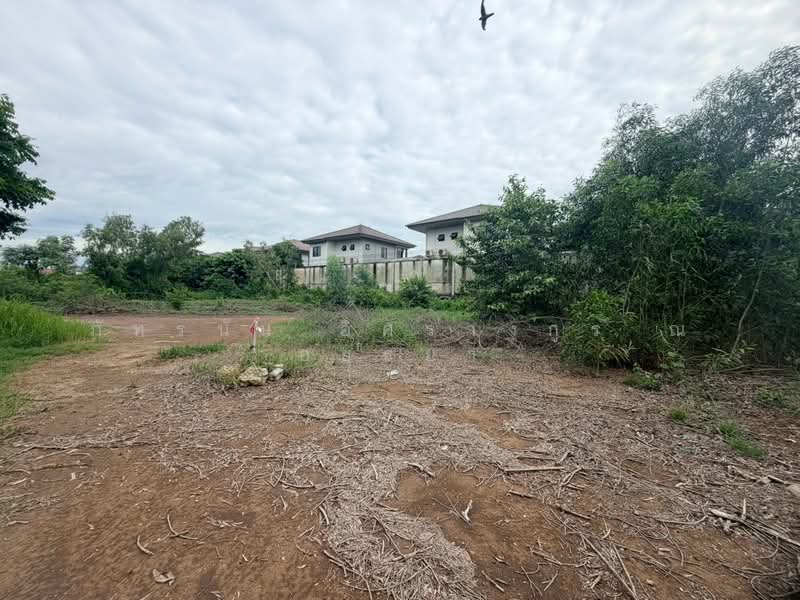 ซอยร่วมสุข 1, Pathum Thani, Ban Mai, Muang Pathum Thani, Pathum Thani, , 732 sqm, Land For Sale, by ภัทรนัน อิศรางกูร ณ อยุธยา, 500471525 - DDproperty.com