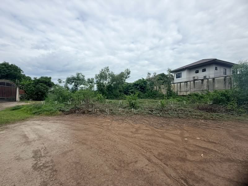 ซอยร่วมสุข 1, Pathum Thani, Ban Mai, Muang Pathum Thani, Pathum Thani, , 732 sqm, Land For Sale, by ภัทรนัน อิศรางกูร ณ อยุธยา, 500471525 - DDproperty.com