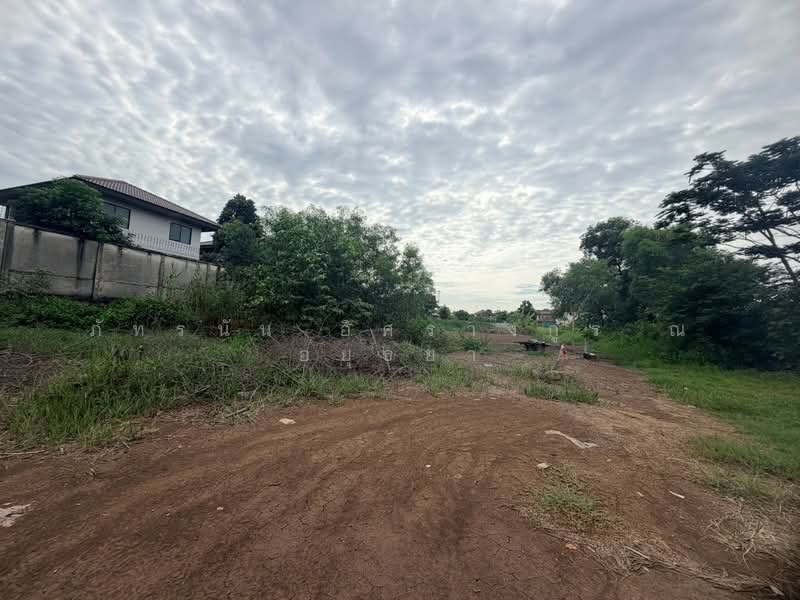 ซอยร่วมสุข 1, ปทุมธานี, บ้านใหม่, เมืองปทุมธานี, ปทุมธานี, 732 ตร.ม., ที่ดิน ขาย, โดย ภัทรนัน อิศรางกูร ณ อยุธยา, 500471525 - DDproperty.com