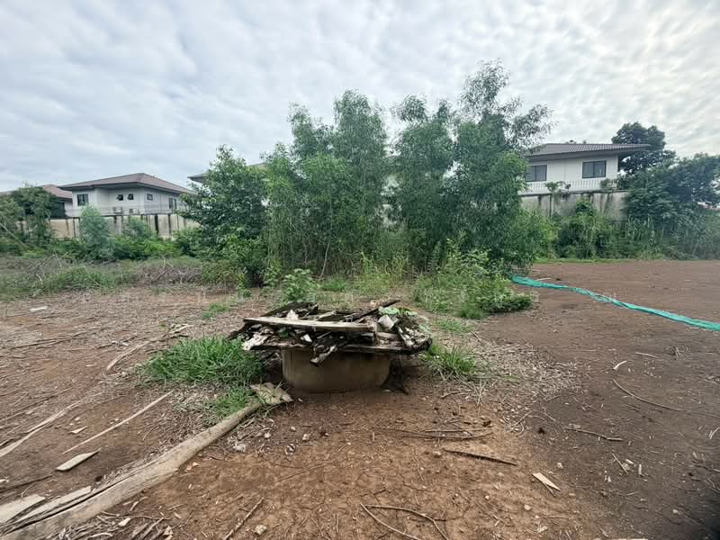 ซอยร่วมสุข 1, ปทุมธานี, บ้านใหม่, เมืองปทุมธานี, ปทุมธานี, 732 ตร.ม., ที่ดิน ขาย, โดย ภัทรนัน อิศรางกูร ณ อยุธยา, 500471525 - DDproperty.com
