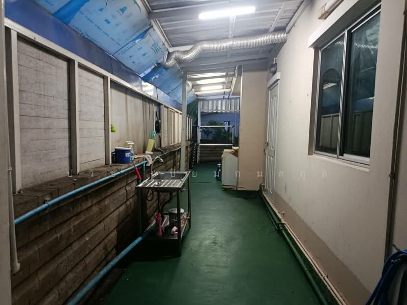 Phuksa Puri Chanbua Bangna km. 5, Samut Prakan, Bangna Road Km.5, Bang Kaeo, Bang Plee, Samut Prakan, 4 Bedrooms, 180 sqm, Single Detached House For Rent, by Pawish Piemkamolkul, 500471528 - DDproperty.com