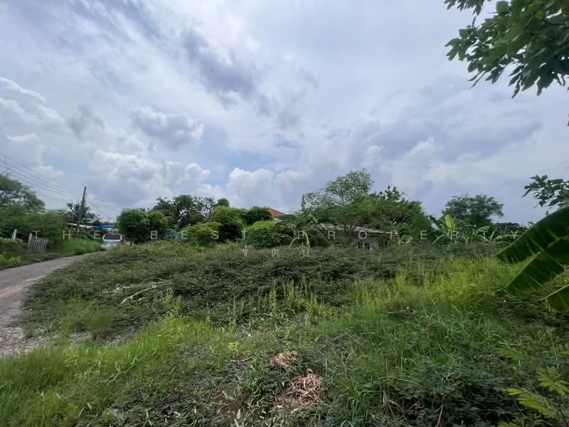 ที่ดินบางขุนเทียน กรุงเทพมหานคร, Bangkok, Samae Dam, Bang Khun Thian, Bangkok, , 1,684 sqm, Land For Sale, by The Best Property รัตน์, 500471545 - DDproperty.com