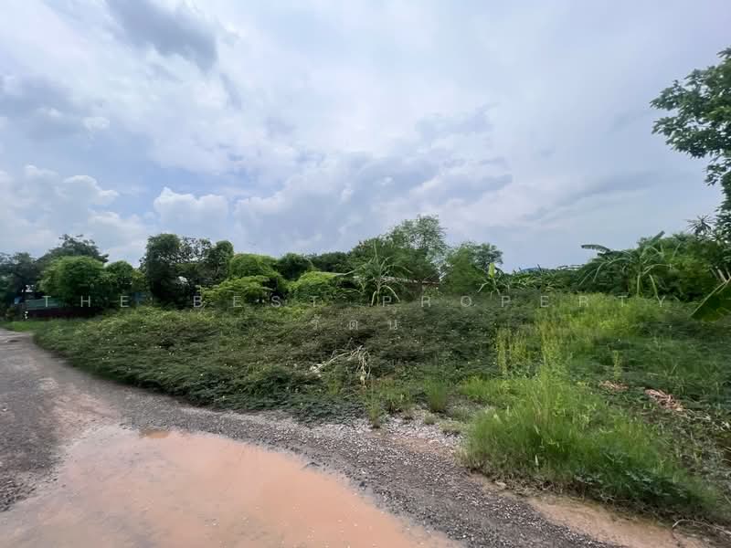 ที่ดินบางขุนเทียน กรุงเทพมหานคร, Bangkok, Samae Dam, Bang Khun Thian, Bangkok, , 1,684 sqm, Land For Sale, by The Best Property รัตน์, 500471545 - DDproperty.com
