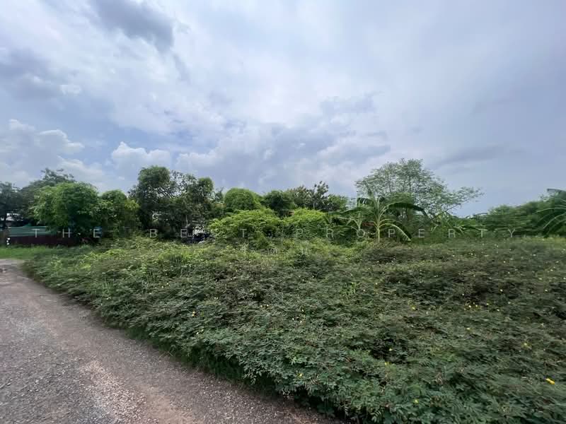 ที่ดินบางขุนเทียน กรุงเทพมหานคร, Bangkok, Samae Dam, Bang Khun Thian, Bangkok, , 1,684 sqm, Land For Sale, by The Best Property รัตน์, 500471545 - DDproperty.com