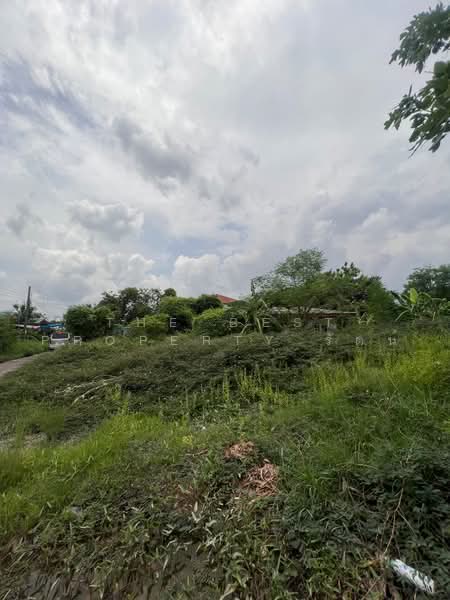 ที่ดินบางขุนเทียน กรุงเทพมหานคร, Bangkok, Samae Dam, Bang Khun Thian, Bangkok, , 1,684 sqm, Land For Sale, by The Best Property รัตน์, 500471545 - DDproperty.com