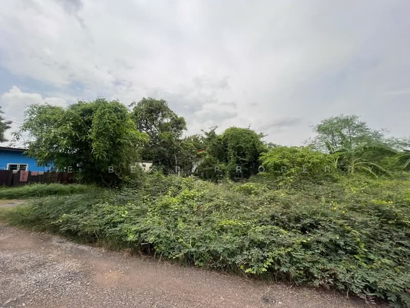 ที่ดินบางขุนเทียน กรุงเทพมหานคร, Bangkok, Samae Dam, Bang Khun Thian, Bangkok, , 1,684 sqm, Land For Sale, by The Best Property รัตน์, 500471545 - DDproperty.com