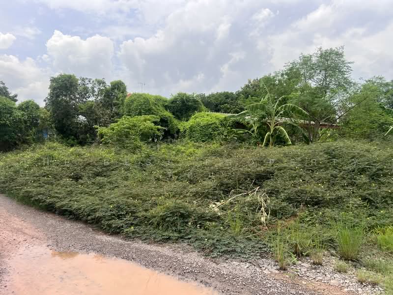 ที่ดินบางขุนเทียน กรุงเทพมหานคร, Bangkok, Samae Dam, Bang Khun Thian, Bangkok, , 1,684 sqm, Land For Sale, by The Best Property รัตน์, 500471545 - DDproperty.com