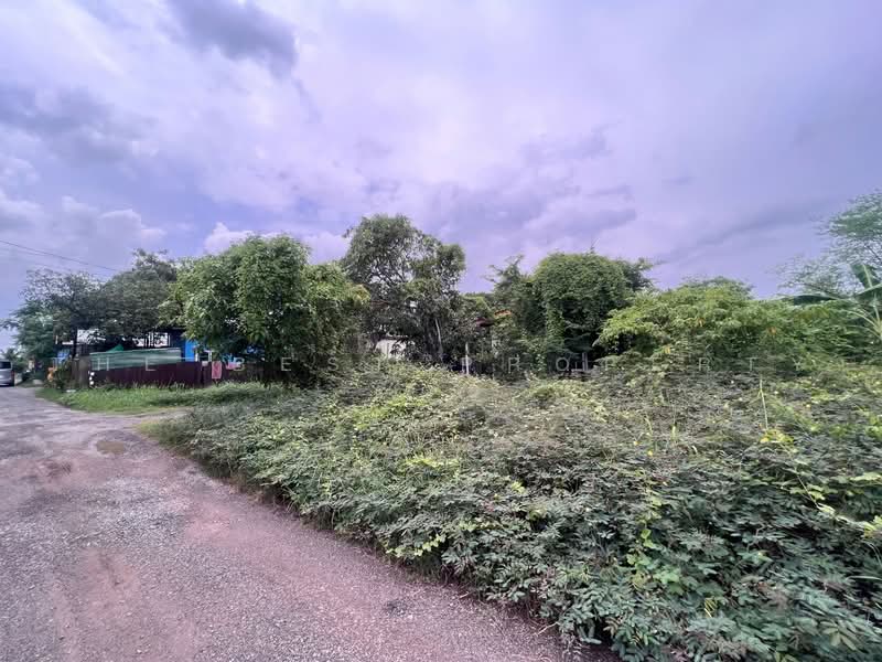 ที่ดินบางขุนเทียน กรุงเทพมหานคร, Bangkok, Samae Dam, Bang Khun Thian, Bangkok, , 1,684 sqm, Land For Sale, by The Best Property รัตน์, 500471545 - DDproperty.com