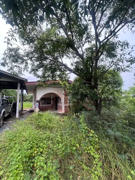 ที่ดินบางขุนเทียน กรุงเทพมหานคร, Bangkok, Samae Dam, Bang Khun Thian, Bangkok, , 1,684 sqm, Land For Sale, by The Best Property รัตน์, 500471545 - DDproperty.com