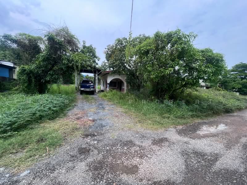 ที่ดินบางขุนเทียน กรุงเทพมหานคร, Bangkok, Samae Dam, Bang Khun Thian, Bangkok, , 1,684 sqm, Land For Sale, by The Best Property รัตน์, 500471545 - DDproperty.com